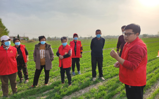 乐陵科技局 乐陵市科技局：文明实践“三部曲”奏响服务“幸福曲”