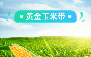 通辽市科技局 通辽市：科技赋能 助推玉米产业高质量发展