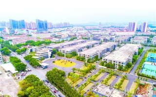 顺德科技工业园 佛山顺德“再创业”村级工业园如何转身“瞪羚牧场”？