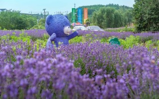 南京薰衣草科技干嘛的 快来打卡吧，这里有超多农业“黑科技”