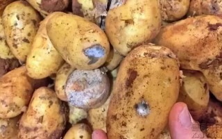 中国科技落后的表现 坏土豆：这才是近代科技落后的真相