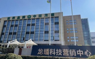 龙蟠科技股份有限公司 龙蟠科技收盘上涨411%，最新市净率271，总市值7755亿元